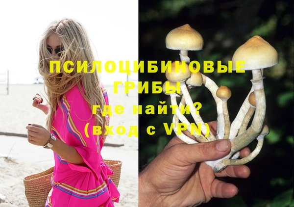 прущая мука Богородск
