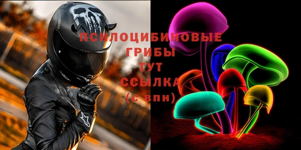 apvp Богородицк