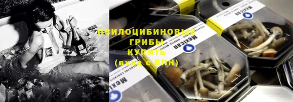 меф Белокуриха